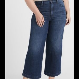 Banana Republic High Rise Wide Leg Crop Dark Wash Jean